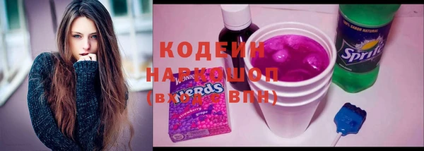 ECSTASY Алзамай